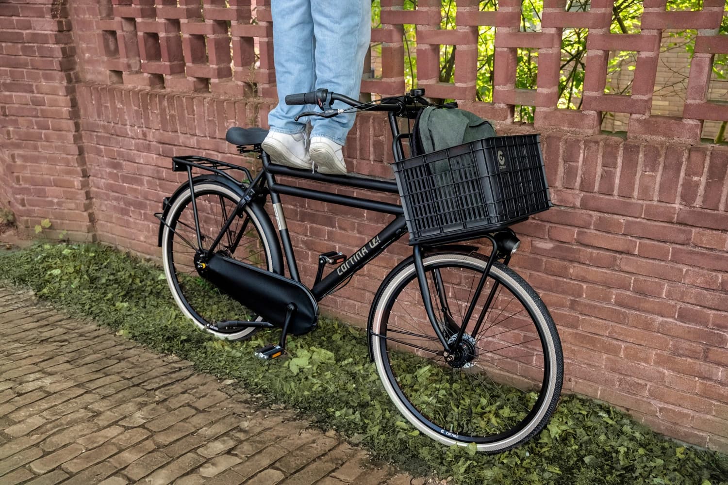 cortina_2025_-bts_gluren_staand